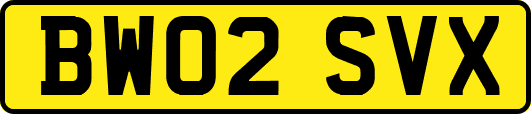 BW02SVX