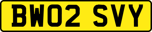 BW02SVY