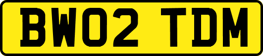BW02TDM