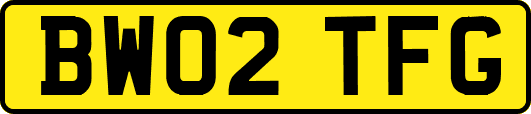 BW02TFG