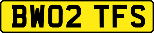 BW02TFS