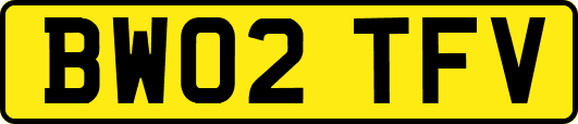 BW02TFV