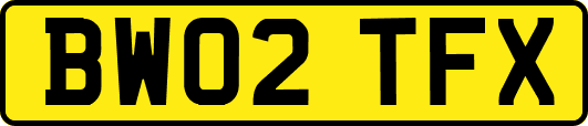 BW02TFX