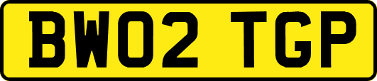 BW02TGP