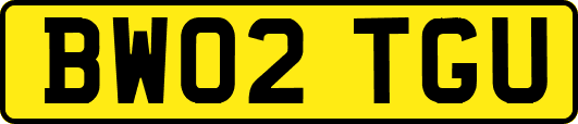 BW02TGU