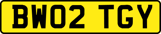 BW02TGY