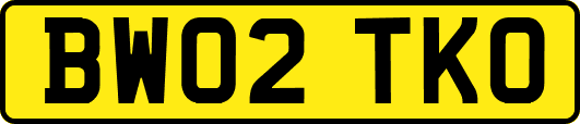 BW02TKO