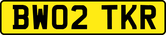 BW02TKR