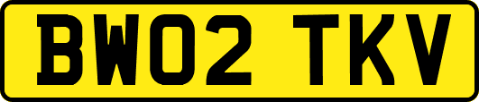 BW02TKV