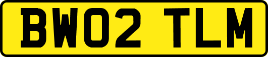 BW02TLM