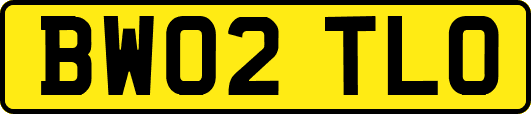 BW02TLO