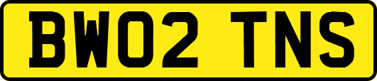 BW02TNS