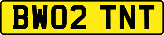 BW02TNT