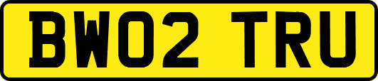 BW02TRU