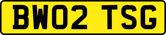 BW02TSG
