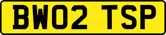BW02TSP