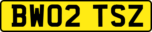 BW02TSZ