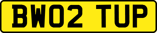 BW02TUP