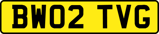 BW02TVG