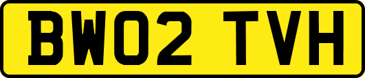 BW02TVH