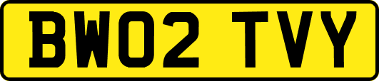 BW02TVY
