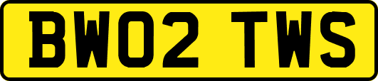 BW02TWS