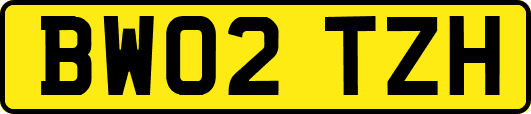 BW02TZH