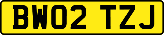 BW02TZJ