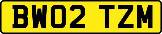 BW02TZM