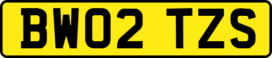 BW02TZS
