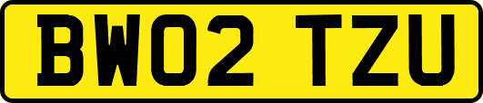BW02TZU