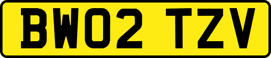 BW02TZV