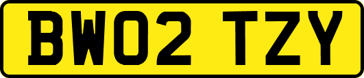 BW02TZY