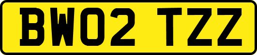 BW02TZZ