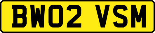 BW02VSM