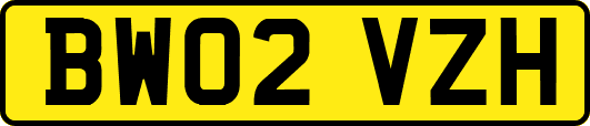 BW02VZH