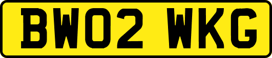 BW02WKG