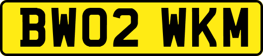 BW02WKM