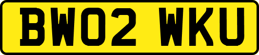 BW02WKU