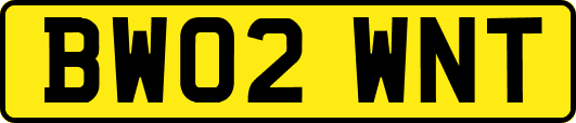 BW02WNT