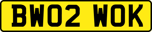 BW02WOK
