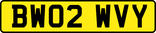 BW02WVY
