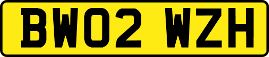 BW02WZH