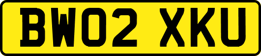 BW02XKU