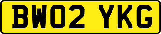 BW02YKG
