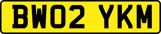 BW02YKM