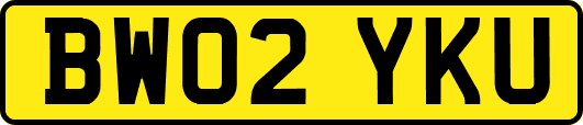 BW02YKU