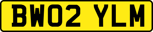 BW02YLM