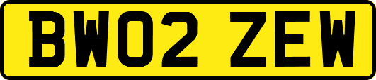 BW02ZEW