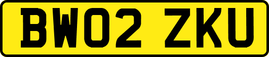 BW02ZKU